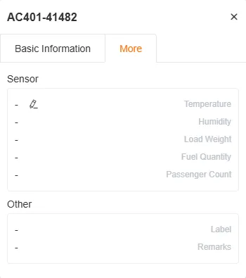 More Information Window