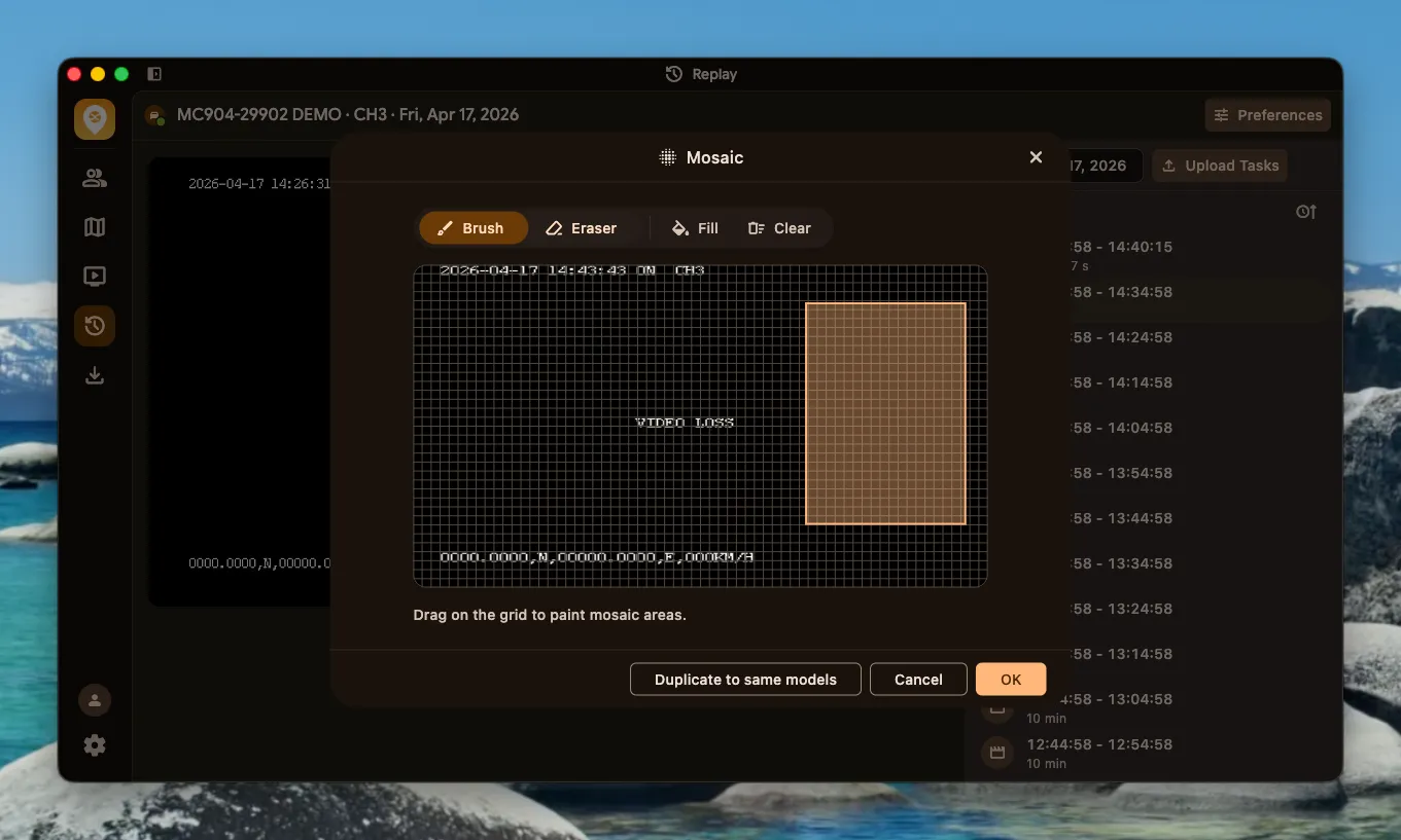 Replay Privacy Masking